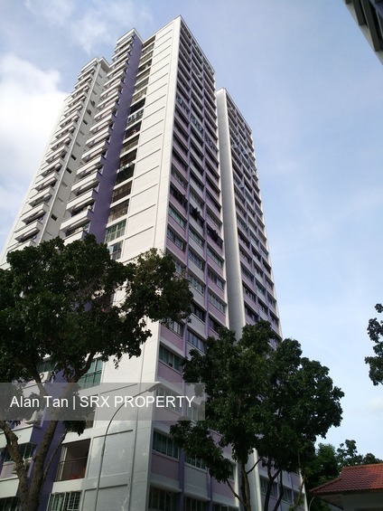 Blk 21 St. Georges Road (Kallang/Whampoa), HDB 5 Rooms #166877402